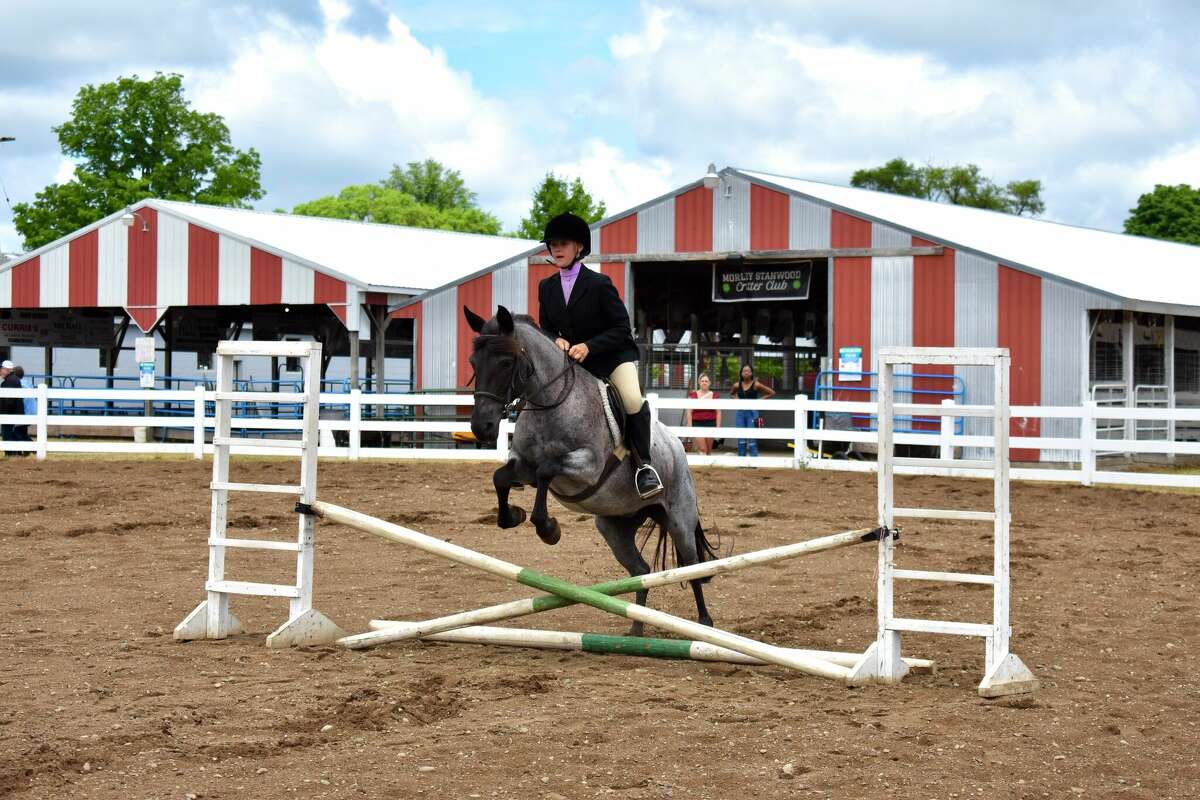 Riders took to the saddle again to demonstrate skills in jumping, huntseat, saddleseat, English, and gymkhana disciplines at the Mecosta County Fair's horse and pony show on July 13. 