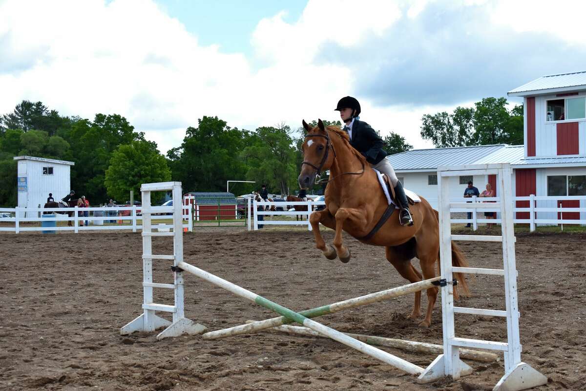 Riders took to the saddle again to demonstrate skills in jumping, huntseat, saddleseat, English, and gymkhana disciplines at the Mecosta County Fair's horse and pony show on July 13. 