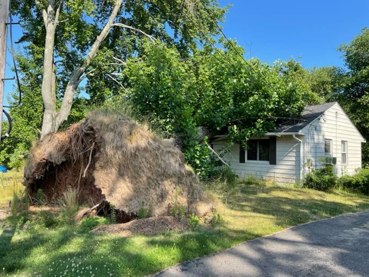 Neighbors want to see a large tree that fell on a Southington, Connecticut, house almost two years ago removed.