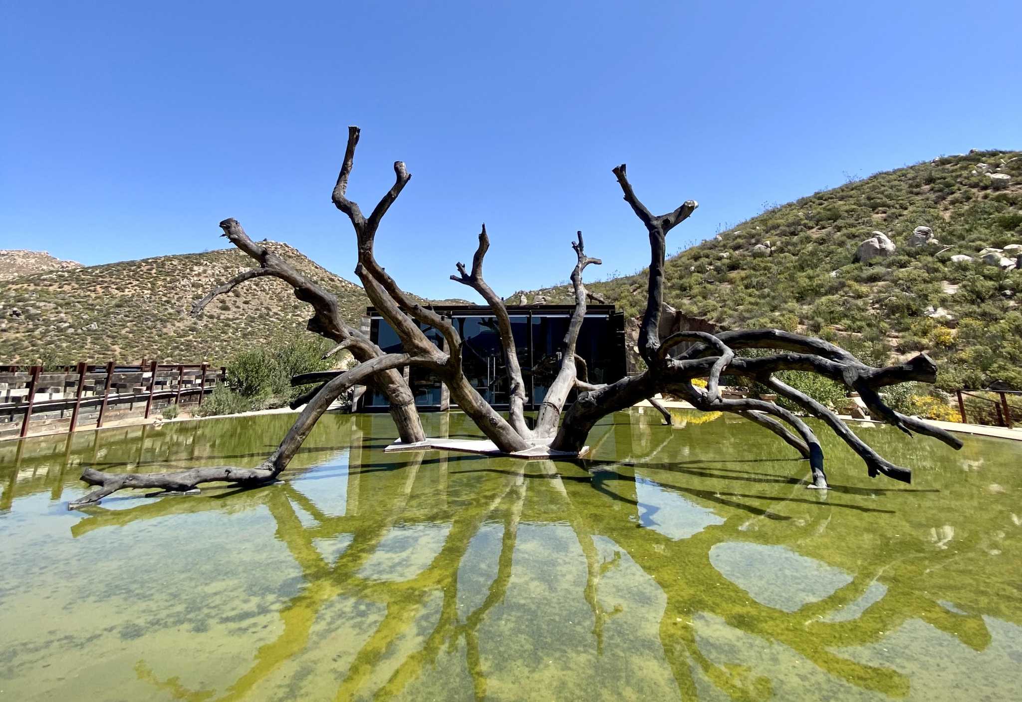 Your next wine vacation should be to Mexico's Valle de Guadalupe - Vimarsana News