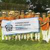 Ridgefield celebrates after winning the District I Little League title with an 11-0 win over Norwalk Wednesday night.