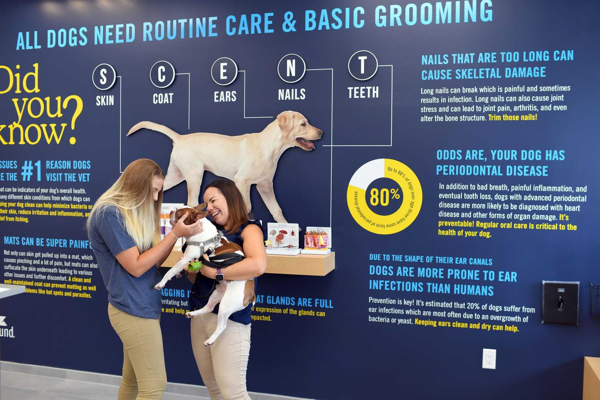 Retail wrap Scenthound dog grooming makes Houston debut in Meyerland
