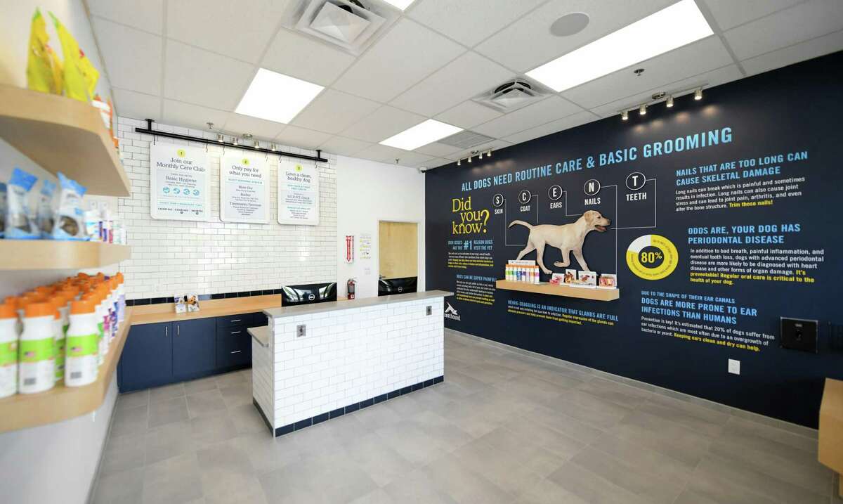 Retail wrap Scenthound dog grooming makes Houston debut in Meyerland