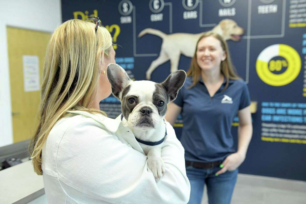 Scenthound, a membership-based, wellness-focused dog grooming franchise, entered the Houston market with a location in Meyerland. Scenthound focuses on the five core area Scenthounds of maintenance: skin, coat, ears, nails and teeth.