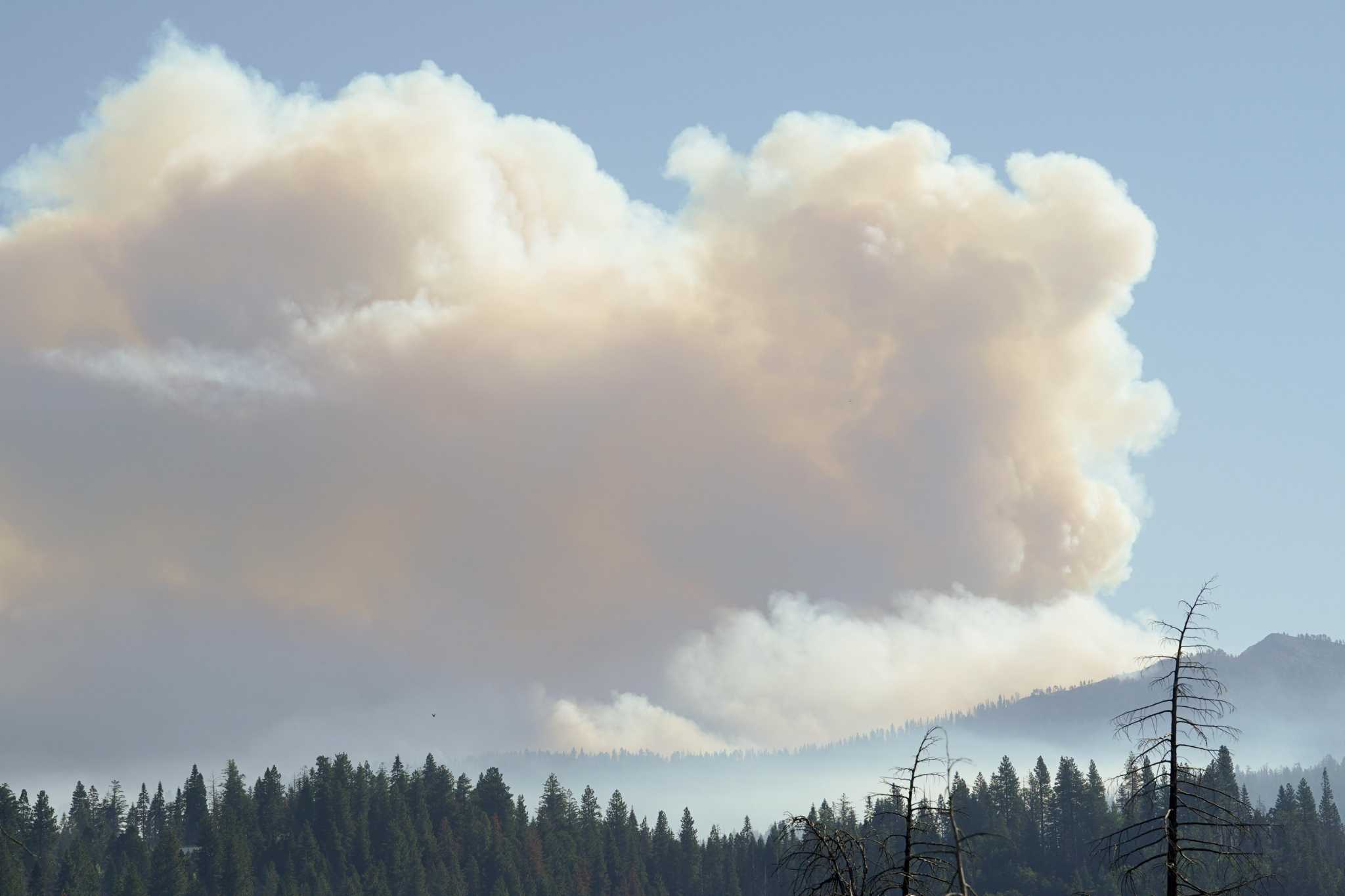 Firefighters Risking Their Lives To Save Yosemite Deserve Better