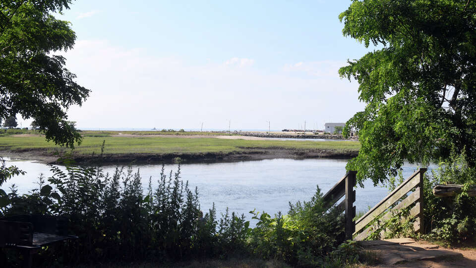 Ash Creek Open Space Area, in Fairfield, Conn. July 14, 2022.