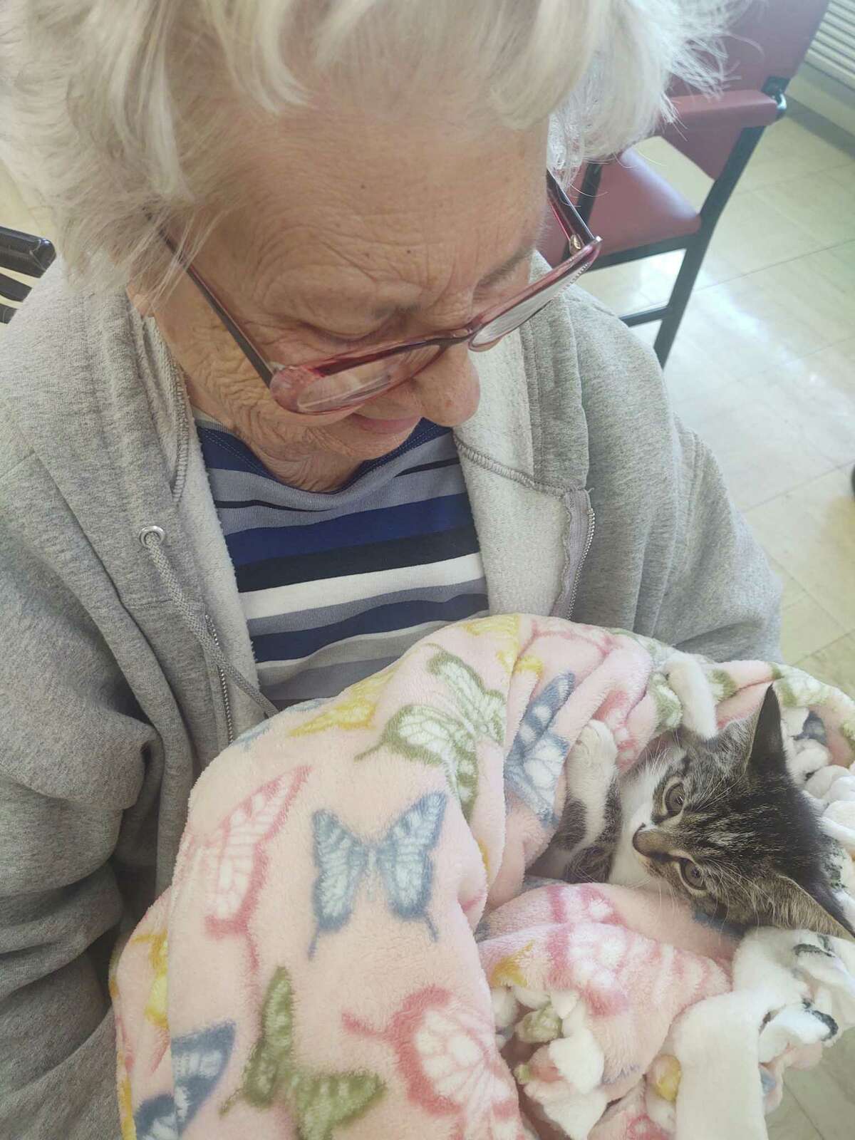 Eight rescue kittens from Westchester-based Rock ‘n Rescue visited residents at New Milford’s Village Crest Center for Health and Rehabilitation. Village Crest resident Janet Scott is pictured.