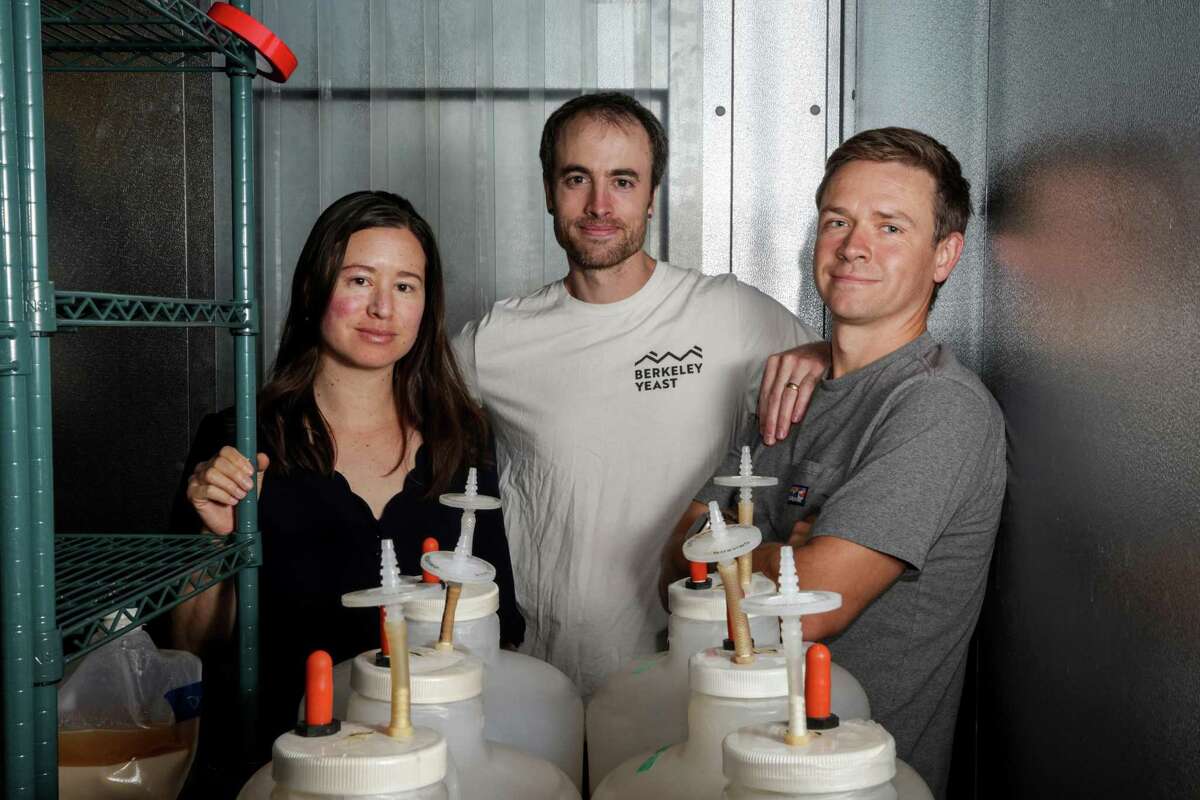 Berkeley Yeast co-founders Rachel Li (left), Nick Harris and CEO Charles Denby started their bioengineering business after earning doctorates from UC Berkeley.