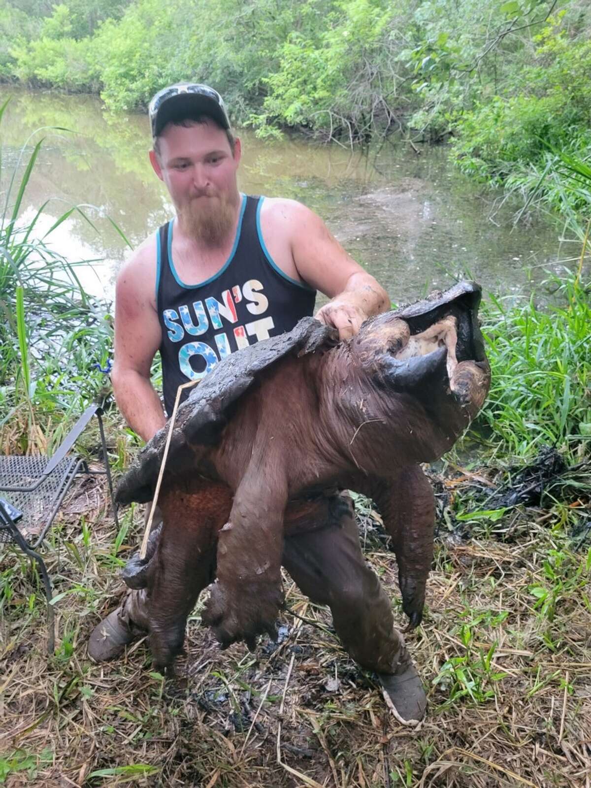  Justin Broomhall of Jefferson was fishing for catfish from the shores of Lake Cherokee when this alligator snapping turtle scooped up the glob of Catfish Charlie the angler was using for bait. Broomhall estimates the prehistoric looking turtle weighed around 150 pounds. Protected by state law, the turtle was released back into the lake. 