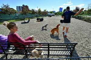 Pet owners convince Mill River Park to keep its dog run in place