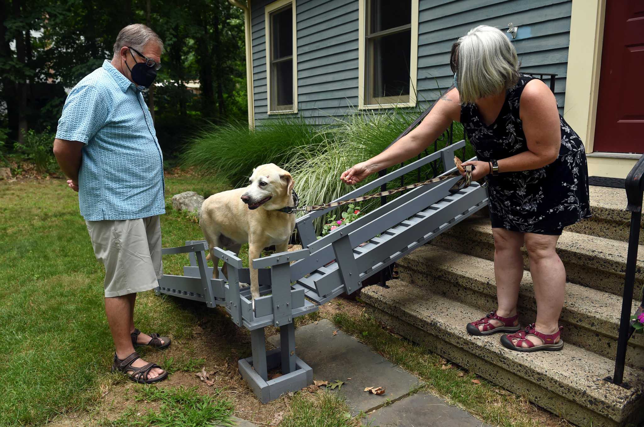 Dog can't navigate steps anymore? Guilford man's invention helps elderly, disabled dogs get around - Vimarsana News