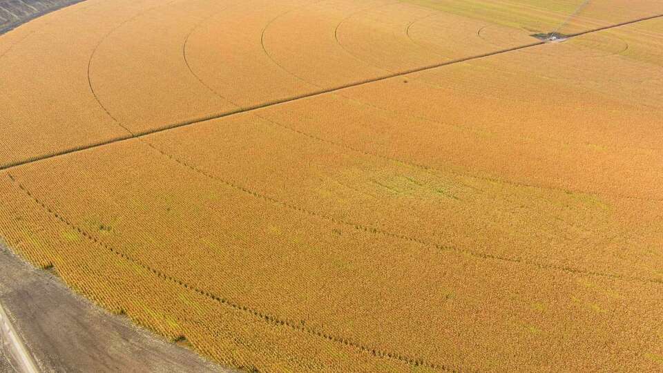 A tractor sits next to a circle of corn finishing in the field Tuesday north of Hondo. A USDA report for the week ending July 10 reported 42 percent of Texas' corn crop was in 