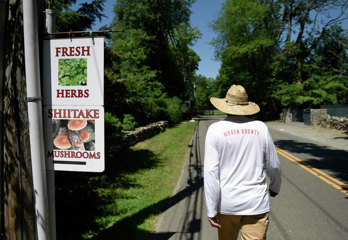 A Greenwich farm owner is always looking for a new locally sourced