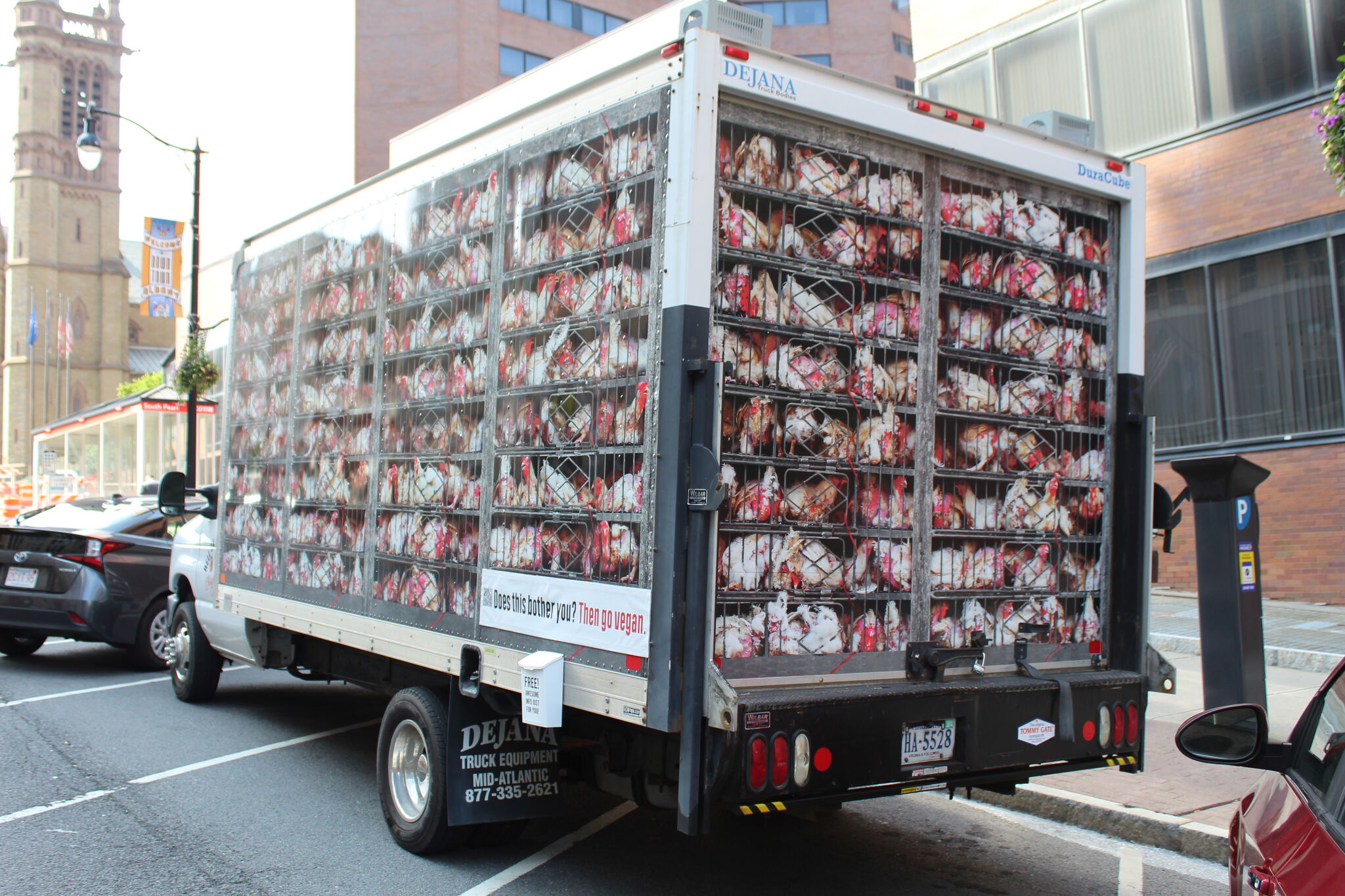 PETA protests poultry deaths with guerrilla marketing truck - Vimarsana News