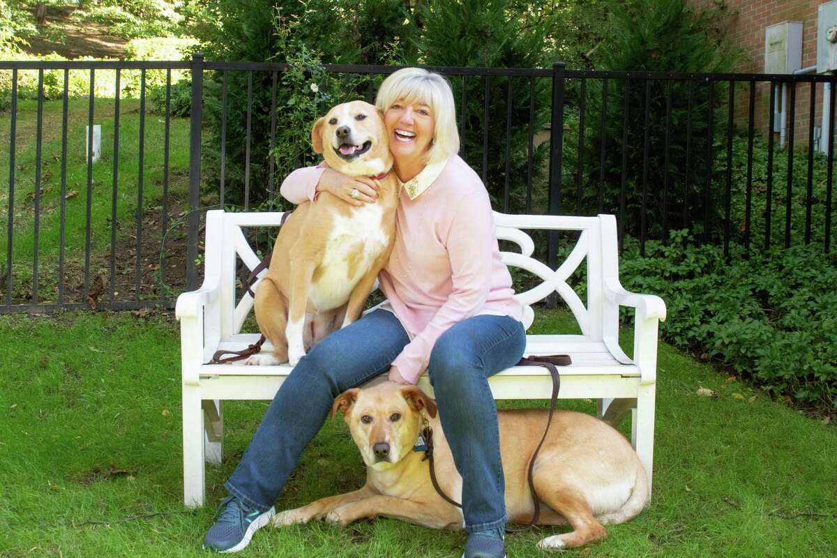 Cathy Kangas is a member of the board of directors of the Humane Society of the United States (HSUS) and the owner of five rescue dogs.