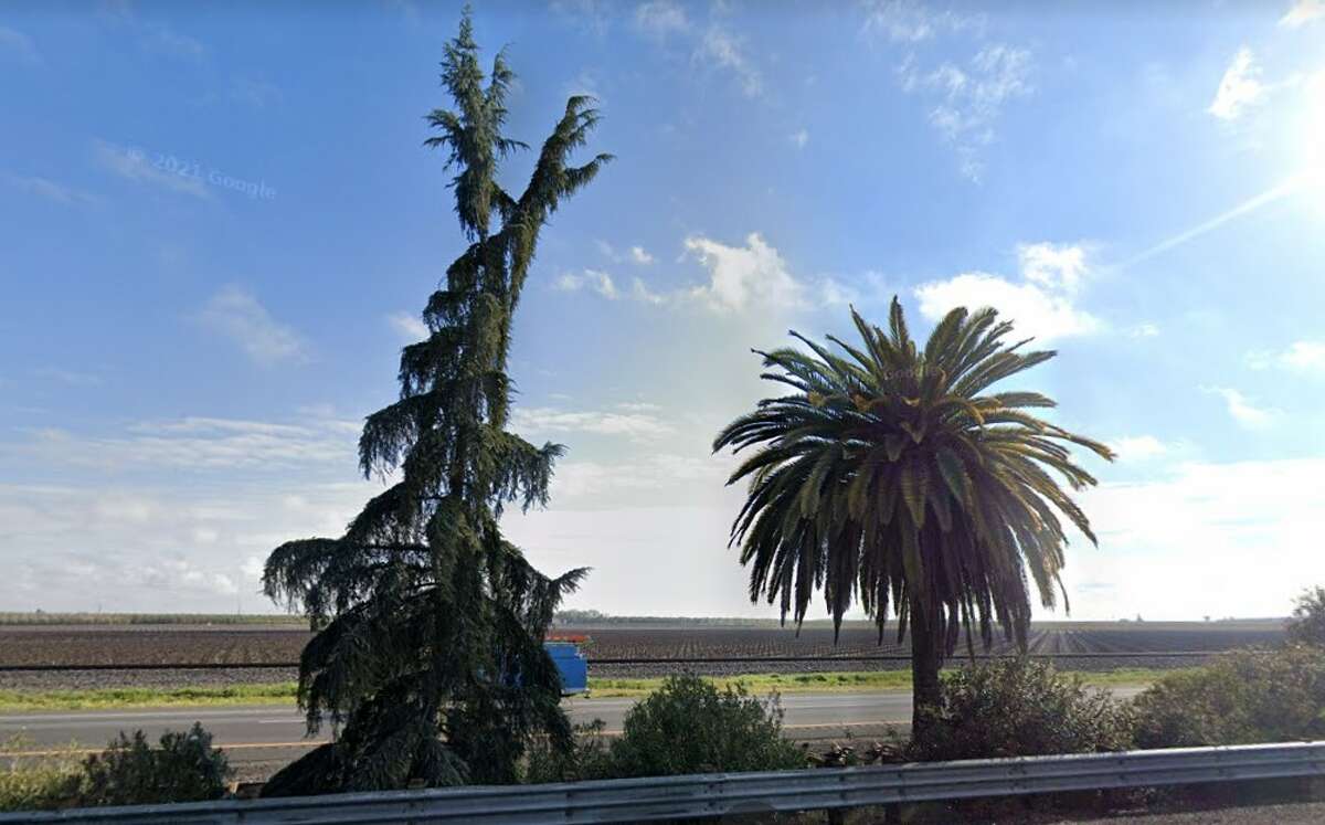 Where the Palm Meets the Pine, state Route 99, Madera County, Calif.