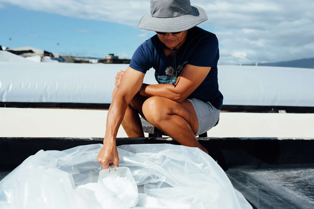 Native Hawaiian saltmaker Mel Kelekolio at a salt farm on the Big Island of Hawaii.