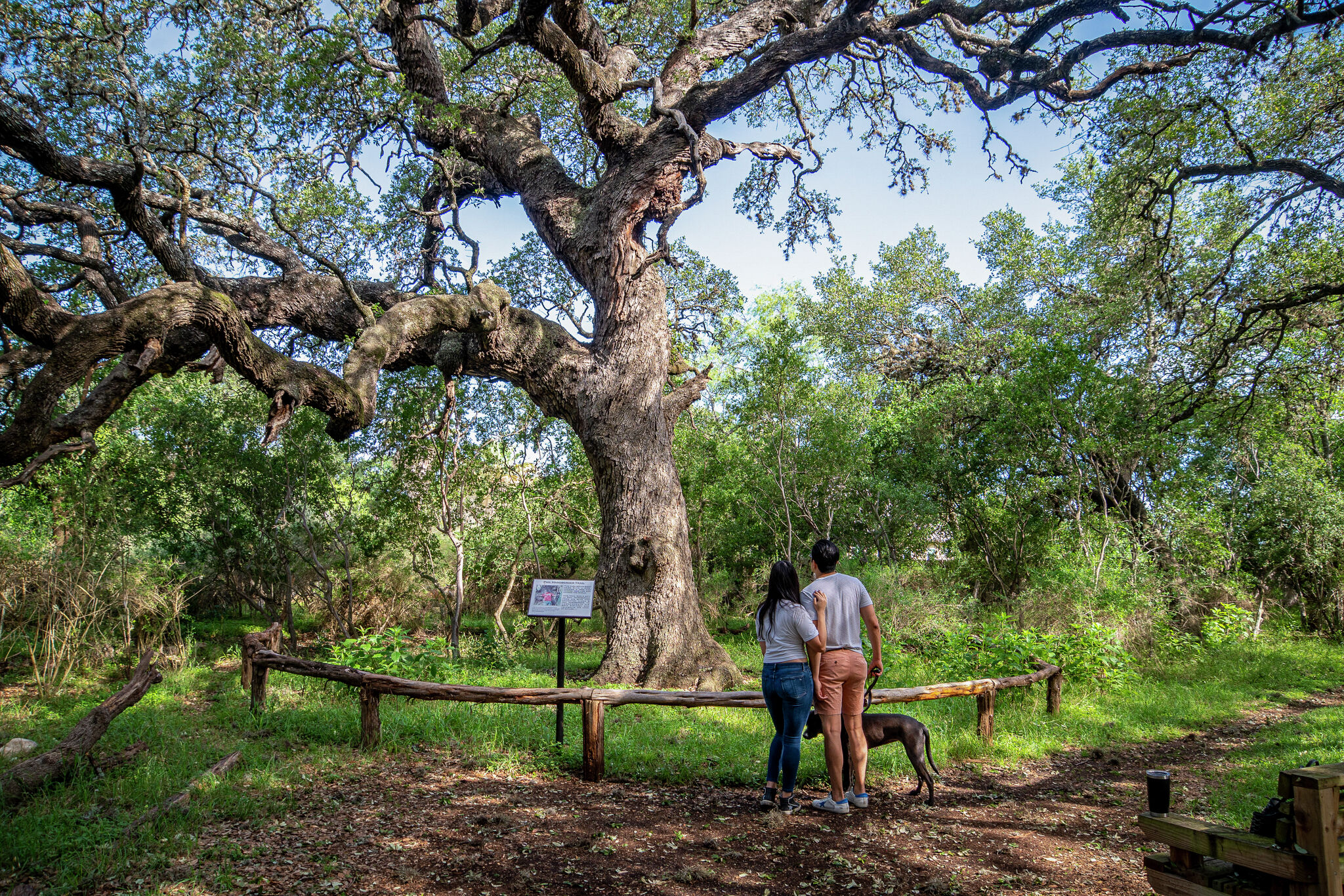 Hardberger Park history celebrated in new book - Vimarsana News
