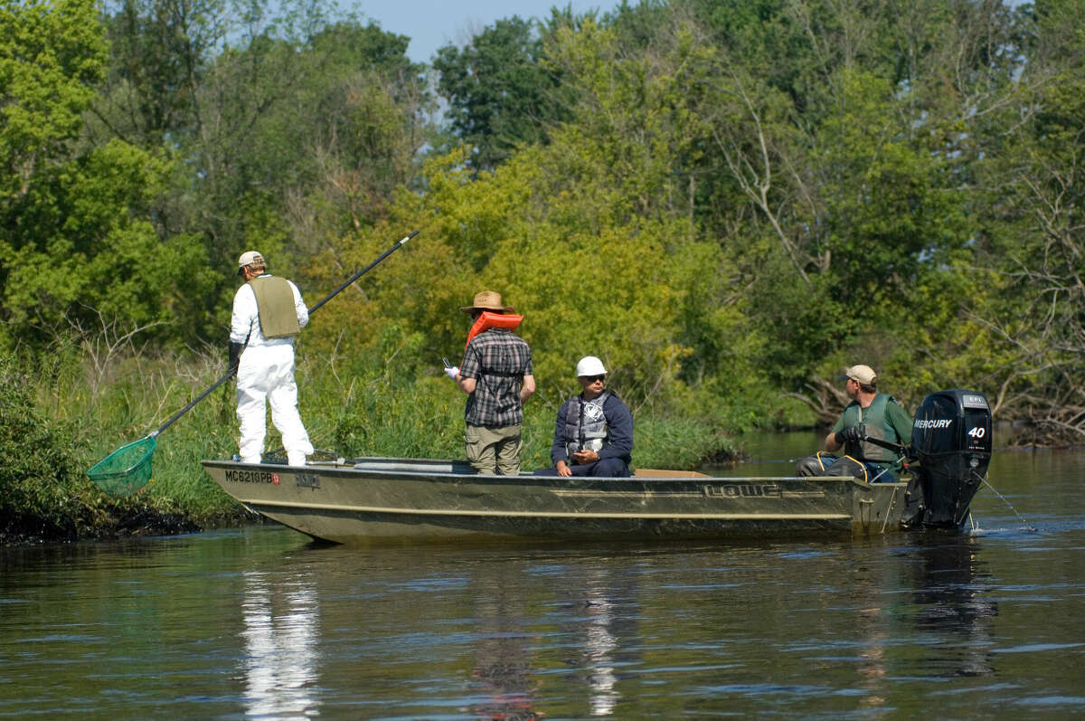 FILE - Land up and down the banks of the river including the river itself was searched for three days and three nights.