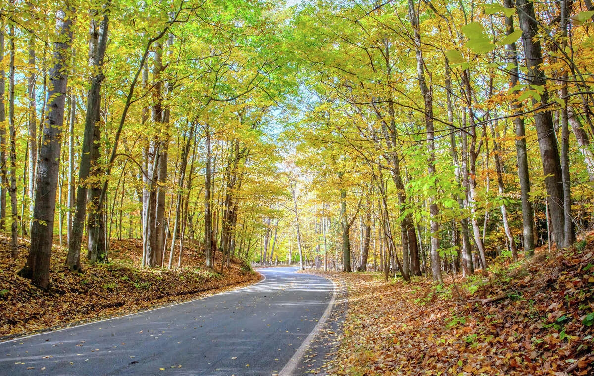 Known as the Tunnel of Trees, M-119 is one of the most idyllic settings in the state.