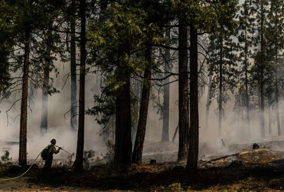 A firefighter tends to a backfire along Wawona Road while battling the Washburn Fire in Yosemite National Park on July 11. California has seen some significant early-summer fires, but the season has overall been calmer than in recent years.