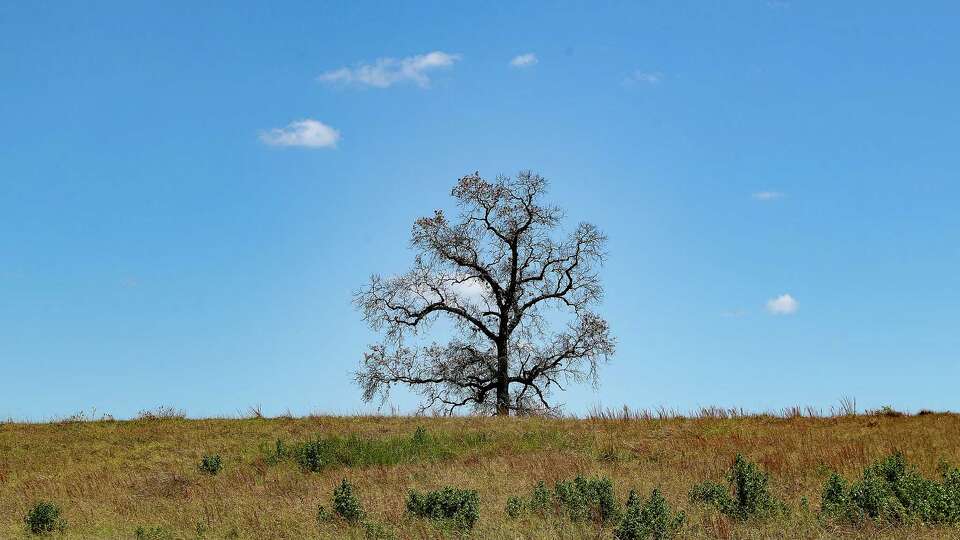 Dry grass and dead trees make for a quick kindling for wildfires, the Huntsville area has seen little rain and has remained inn triple digits heat for most of the summer.