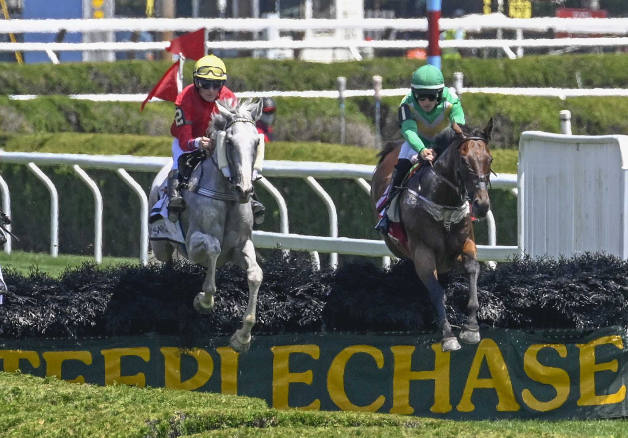 Down Royal surprises own trainer with win in A.P. Smithwick - Vimarsana News