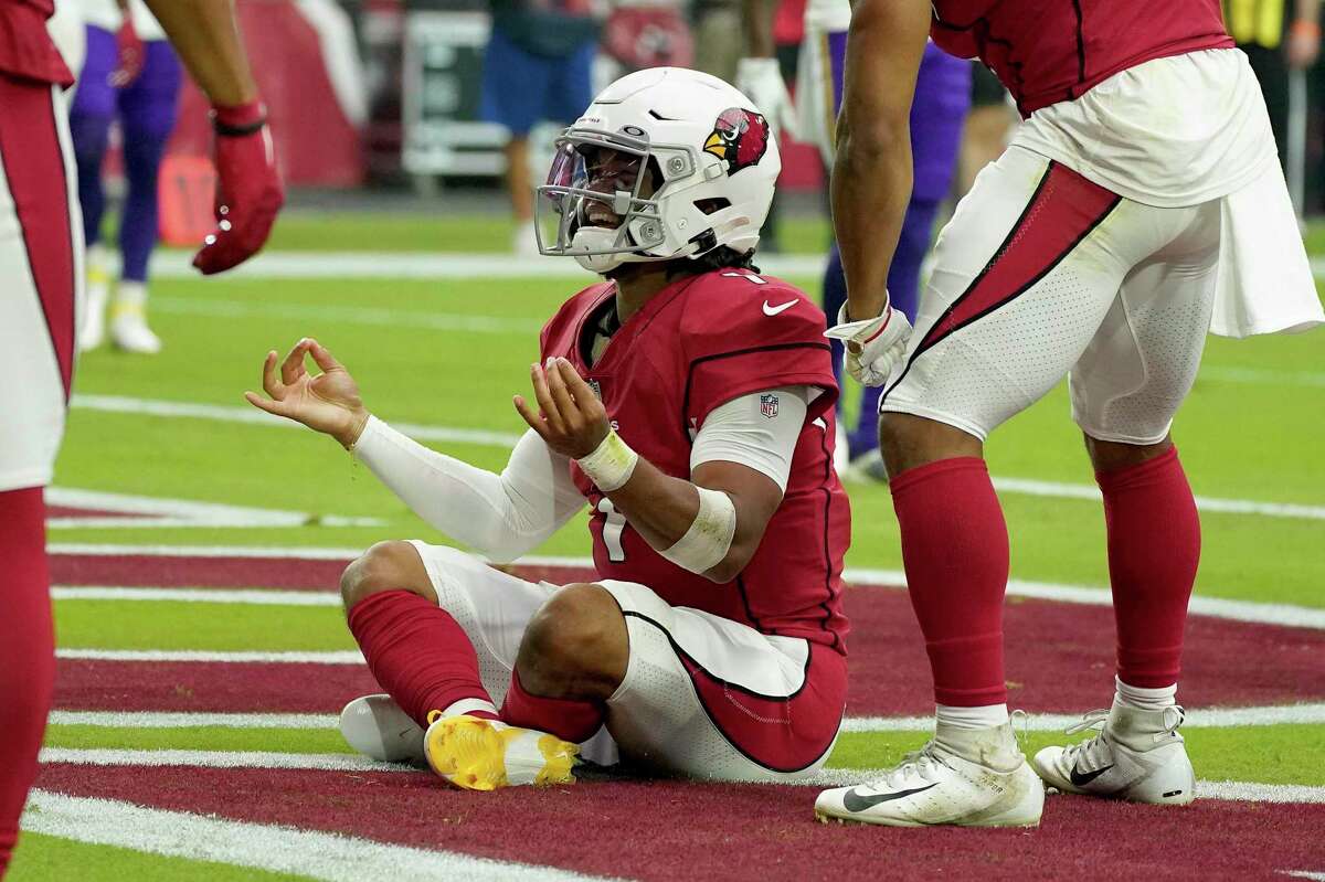 Arizona Cardinals defensive tackle Gabe Watson against the Houston