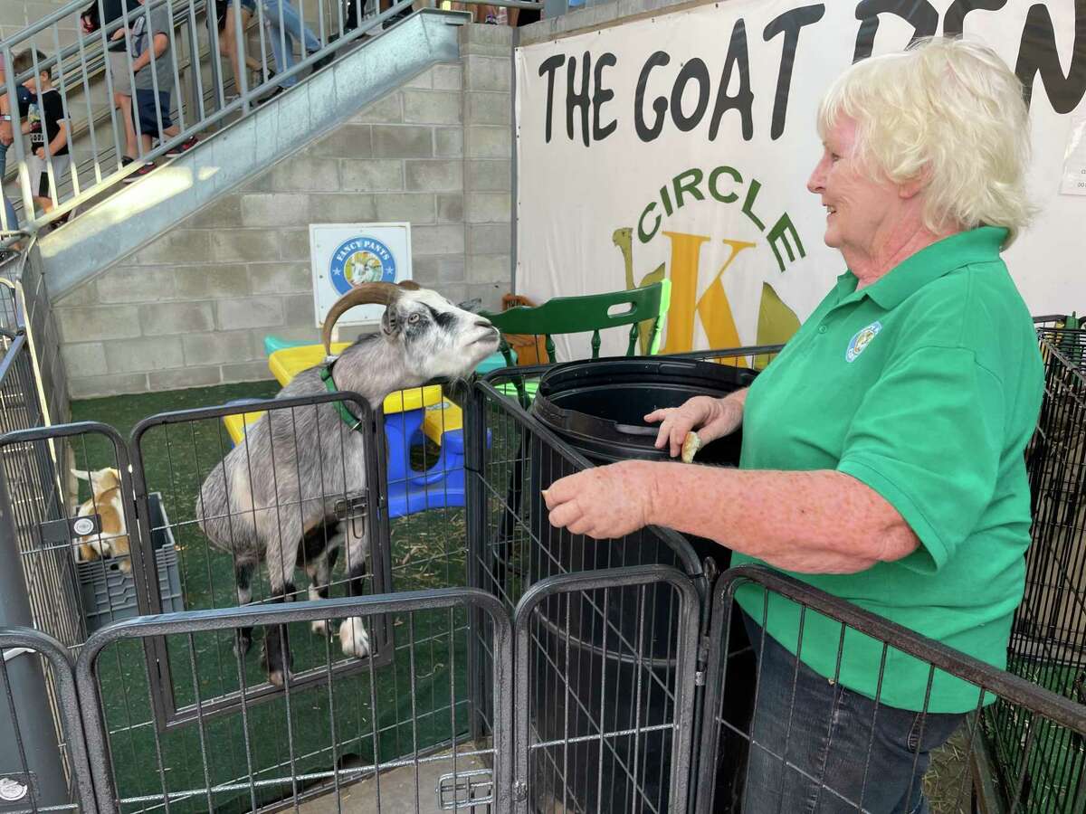 How Fancy Pants became the face of the Hartford Yard Goats