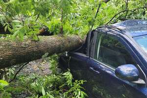 70-foot trees fall on New Milford couple’s cars during storm
