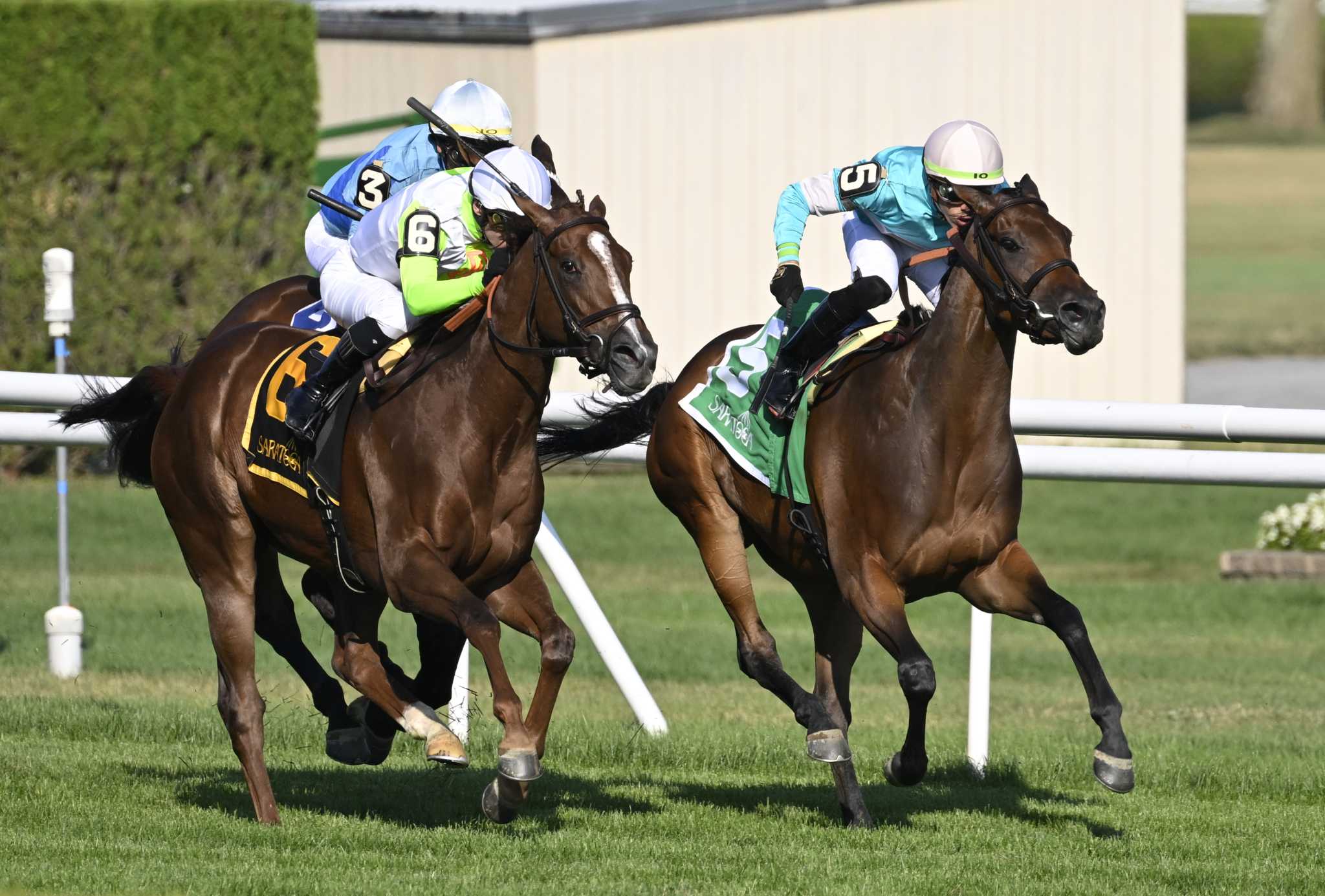 Dolce Zel wins stretch duel to take Lake George at Saratoga - Vimarsana News