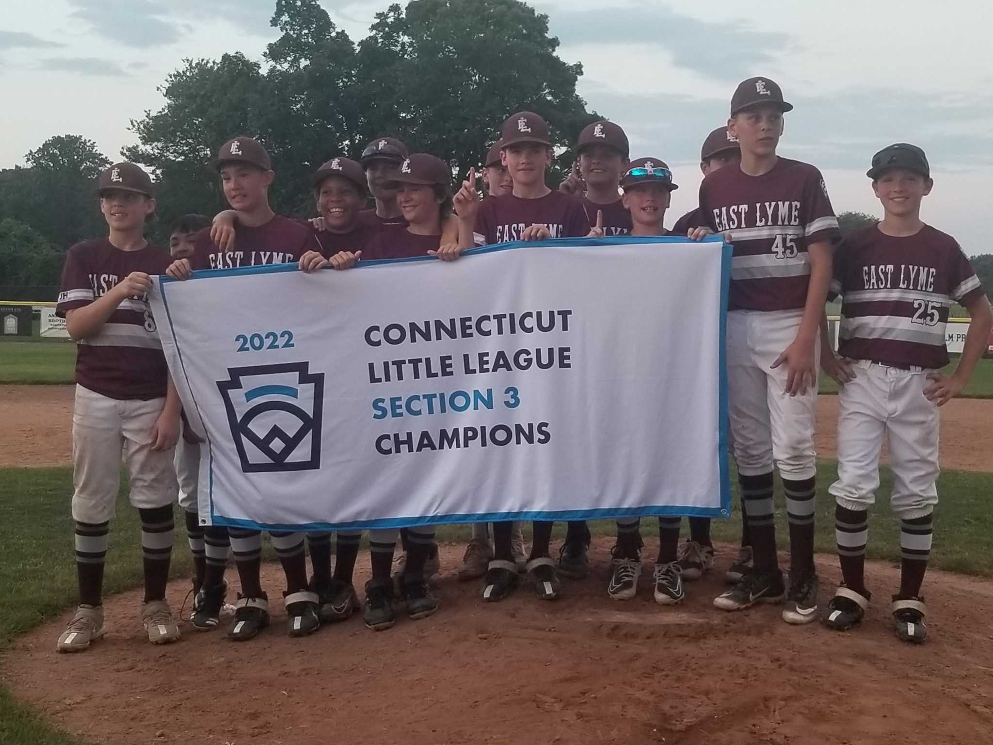 Media Little League romps, takes state title
