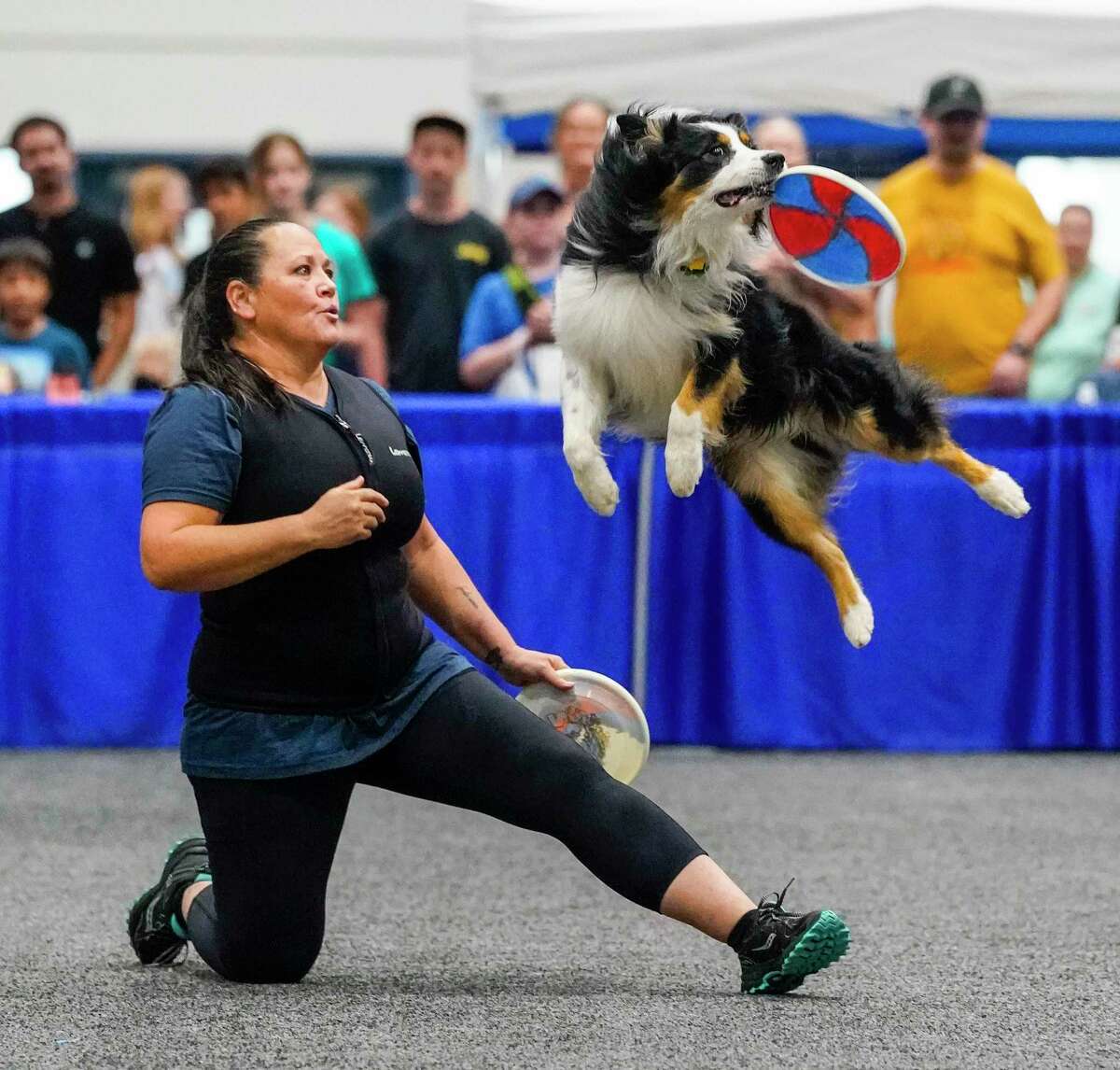 Houston Astros on X: There were some h*ckin' good dogs at this