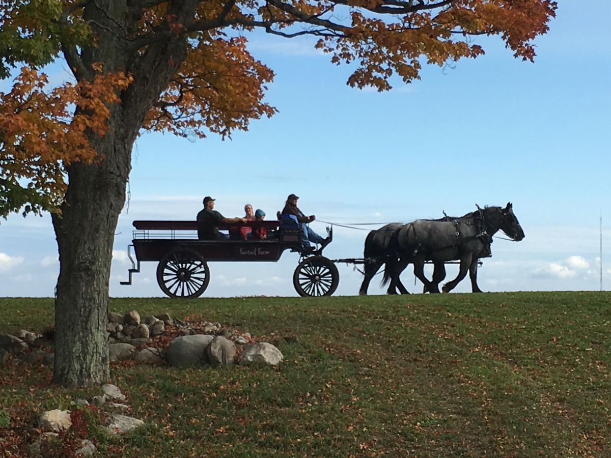 Rustic Rides Farm Looking for a horse-drawn ride? Check out Fantail Farm