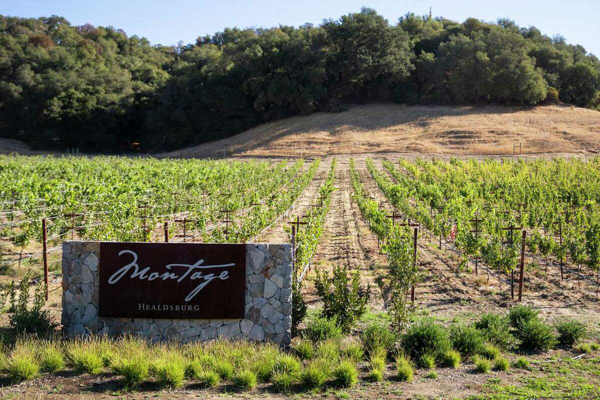 Will Giants players frequent Sonoma County wineries?