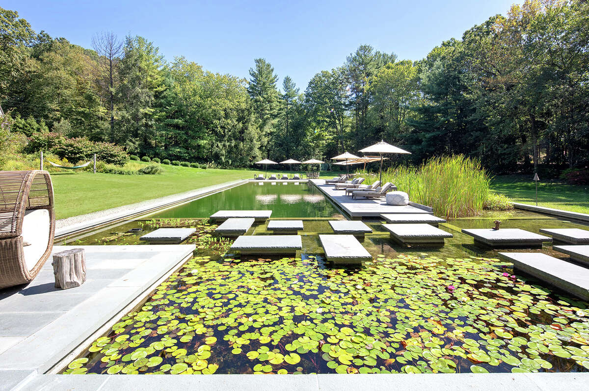 The BioNova pool and lily pond at the home on 148 Taunton Hill Road in Newtown, Conn.