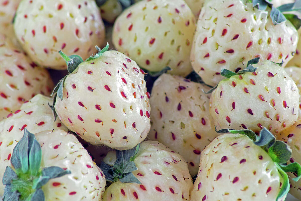 Pineberries are the best thing since Grapples! (grape apples!)