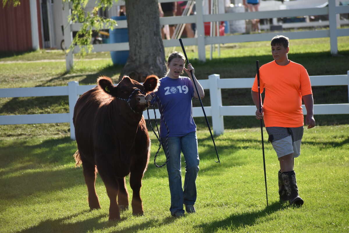 The Osceola Free Fair is this week in Evart, running from July 23 through July 30.