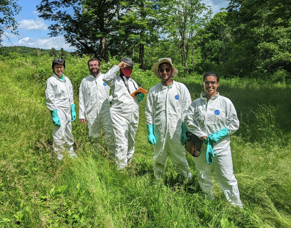 The Invasives Strike Force, part of the Lower Hudson Partnership for Regional Invasive Species Management, is trying to eradicate poisonous giant hogweed from the Hudson Valley.