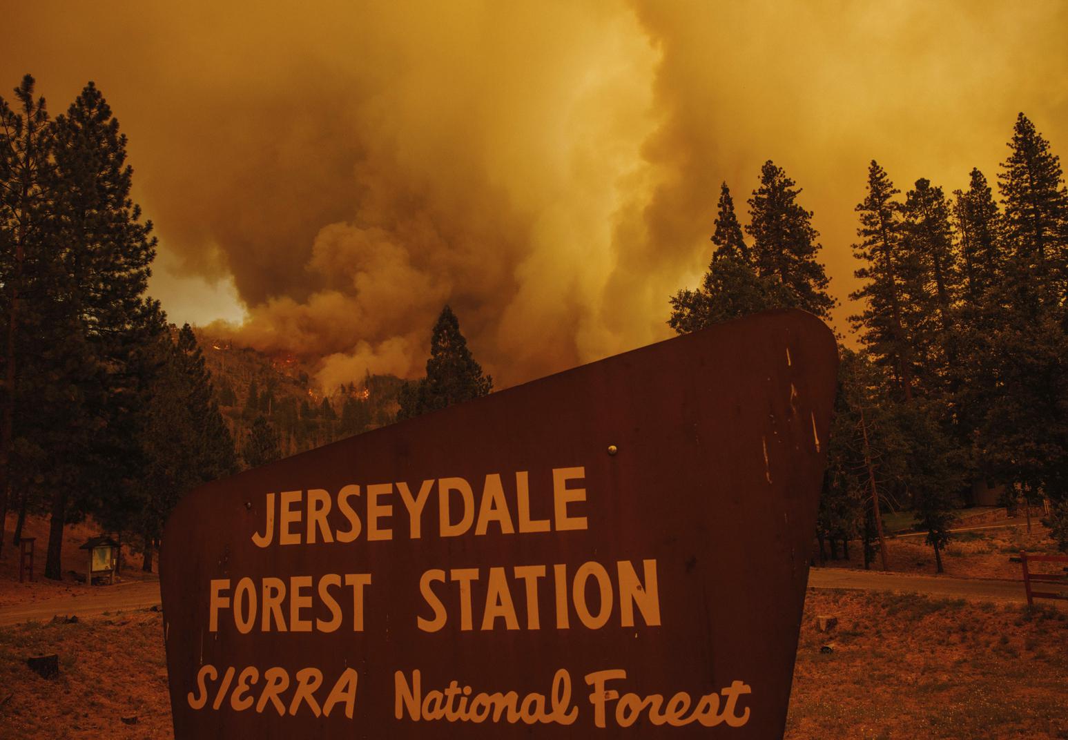 Has peak fire season arrived? Oak Fire warns what's to come - Vimarsana News