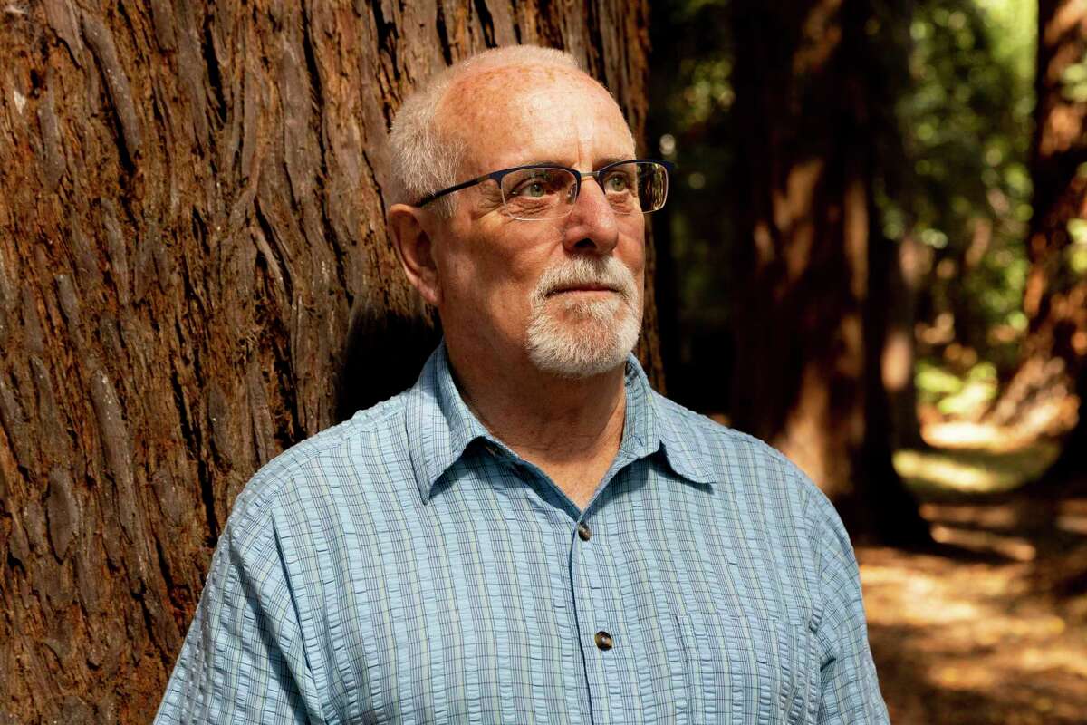 Professor Todd Dawson spends time in the redwood grove outside his office at UC Berkeley on Tuesday.  Dawson, who is working with environmentalists who want to protect the Clar Tree in Sonoma County, argues that redwood root structures are massive, complex and intertwined with the ecological system — so disturbing them could have unknown impacts.