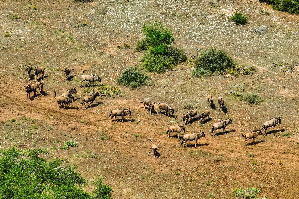The $21 million Highveld Ranch is now for sale in Real County.