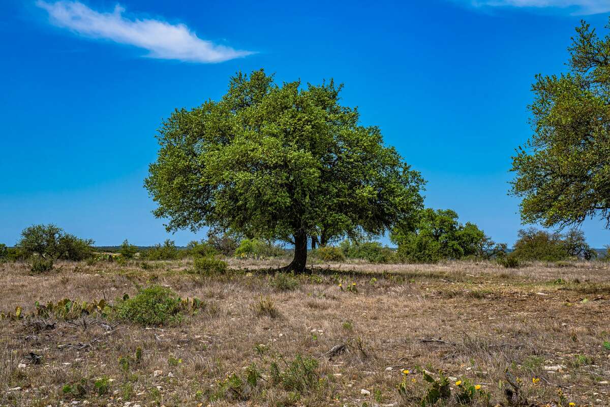 The $21 million Highveld Ranch is now for sale in Real County.
