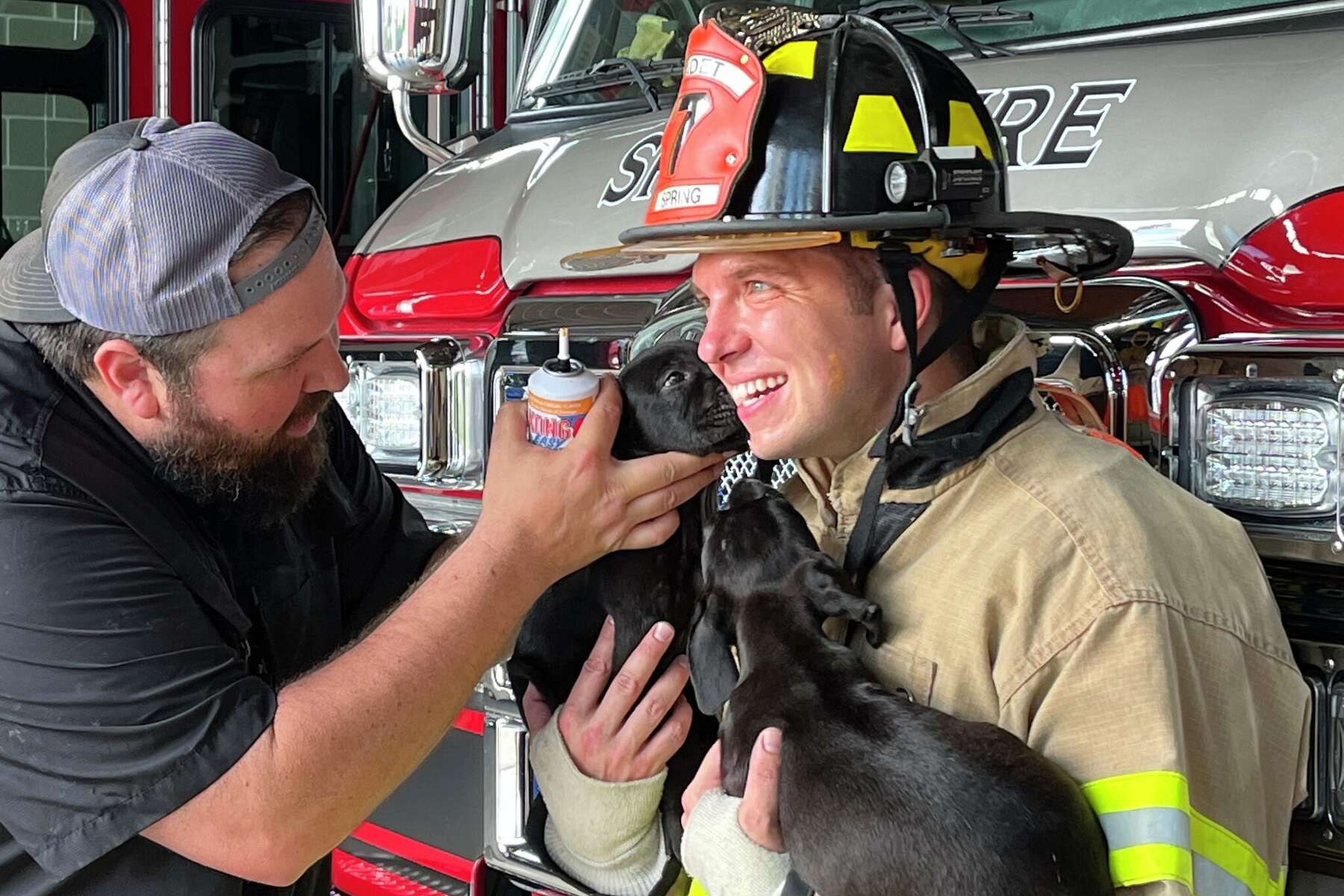 first-look-at-the-2023-spring-firefighter-calendar-as-they-pose-with-shelter-pets