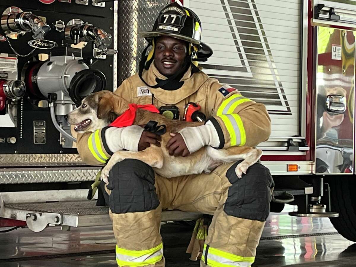 Spring Firefighter Jonathan Hart holds a shelter dog while pausing for a break between poses during a photo shoot for the Spring Fire Department's 2023 calendar on Tuesday, July 19, 2022.