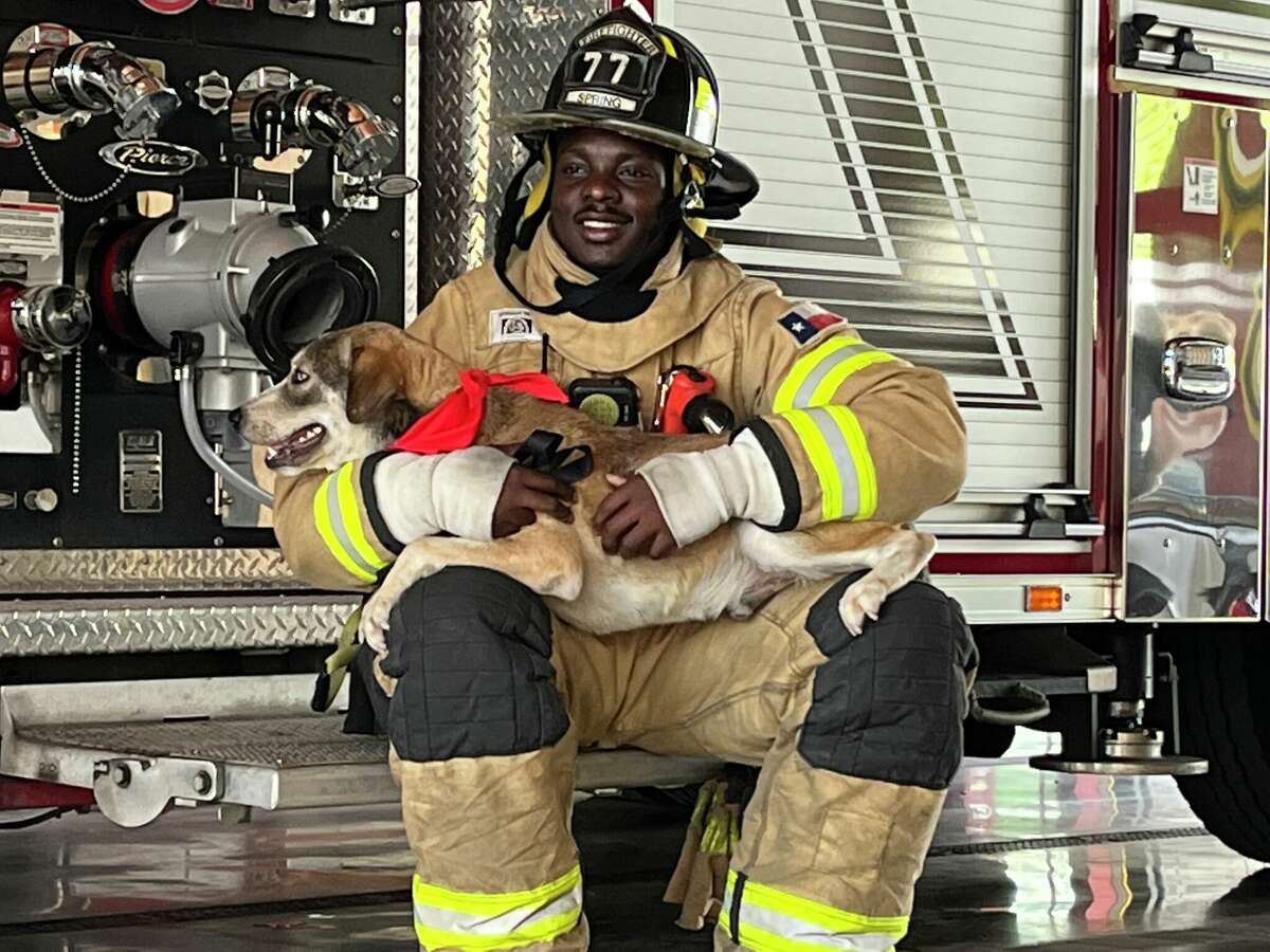 do dogs help firemen