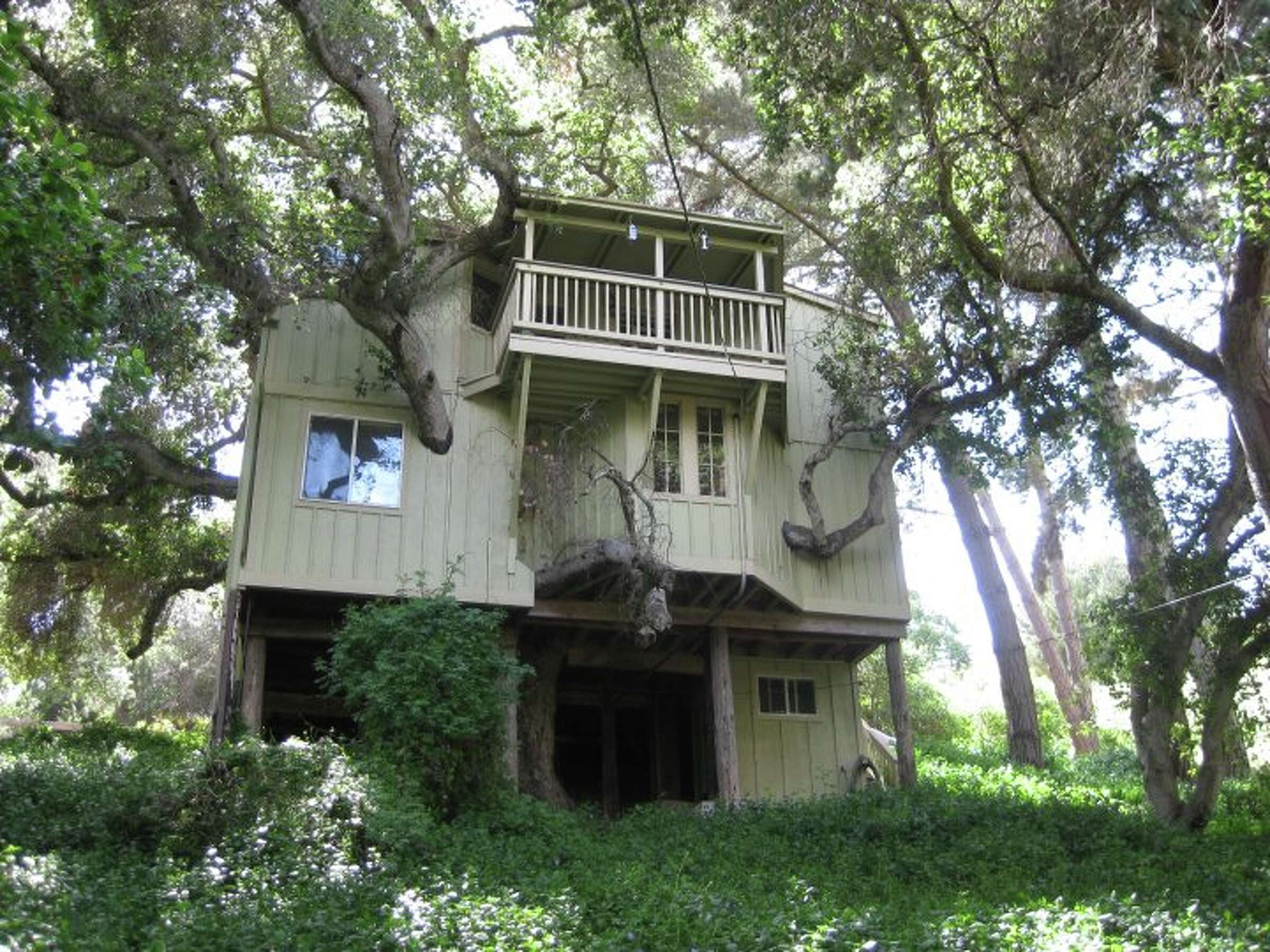 Pismo Beach tree house was ‘pretty f—king scary’ to live in