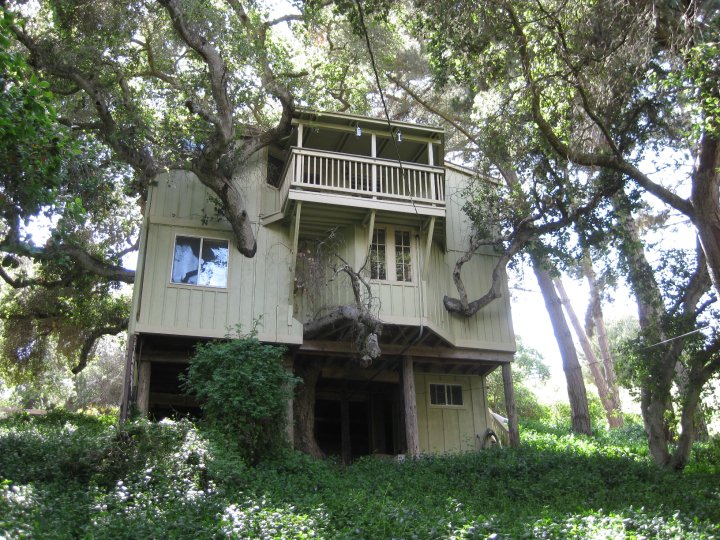 Pismo Beach tree house was ‘pretty f—king scary’ to live in