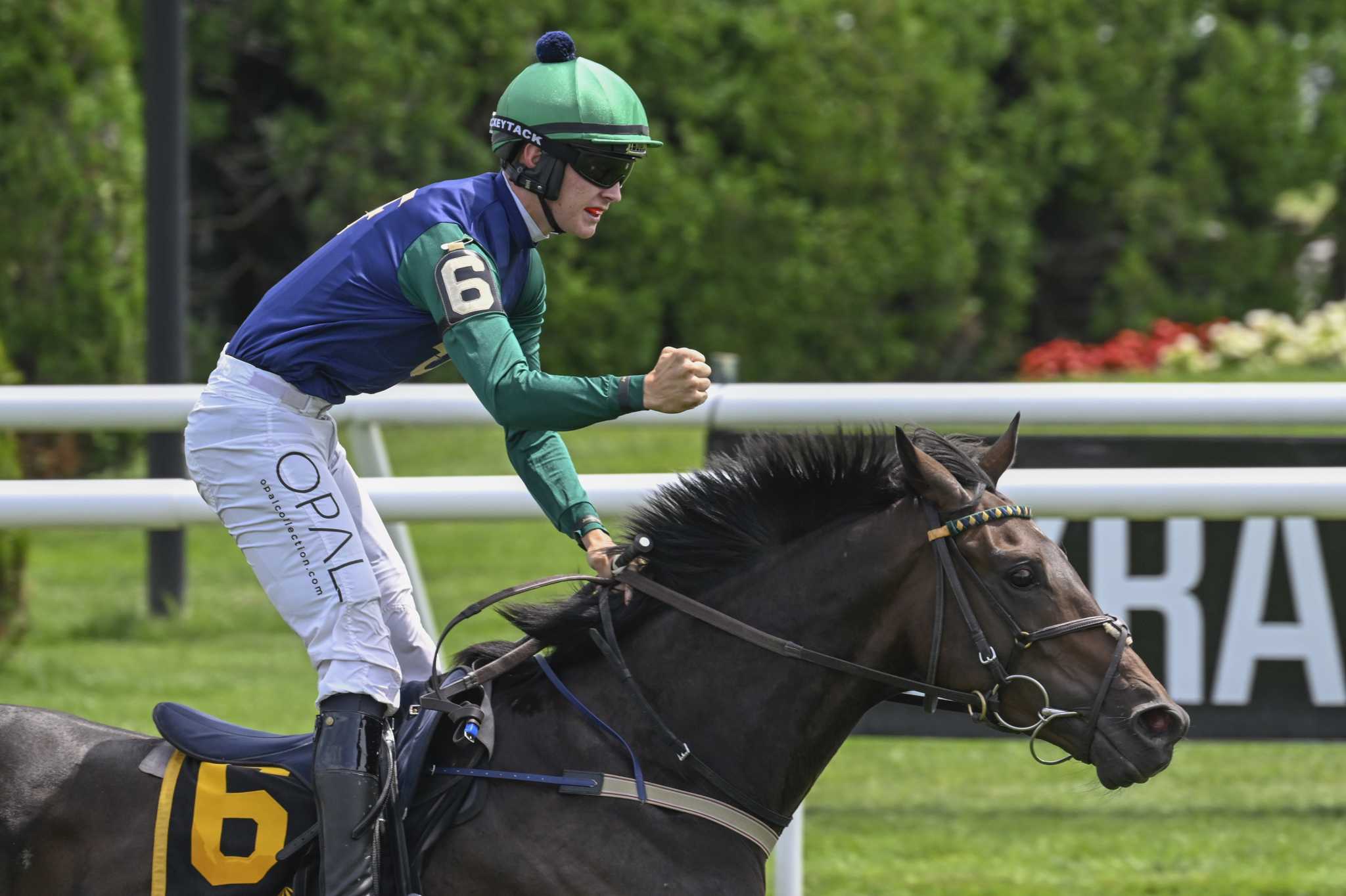 Freddy Flintshire captures steeplechase - Vimarsana News