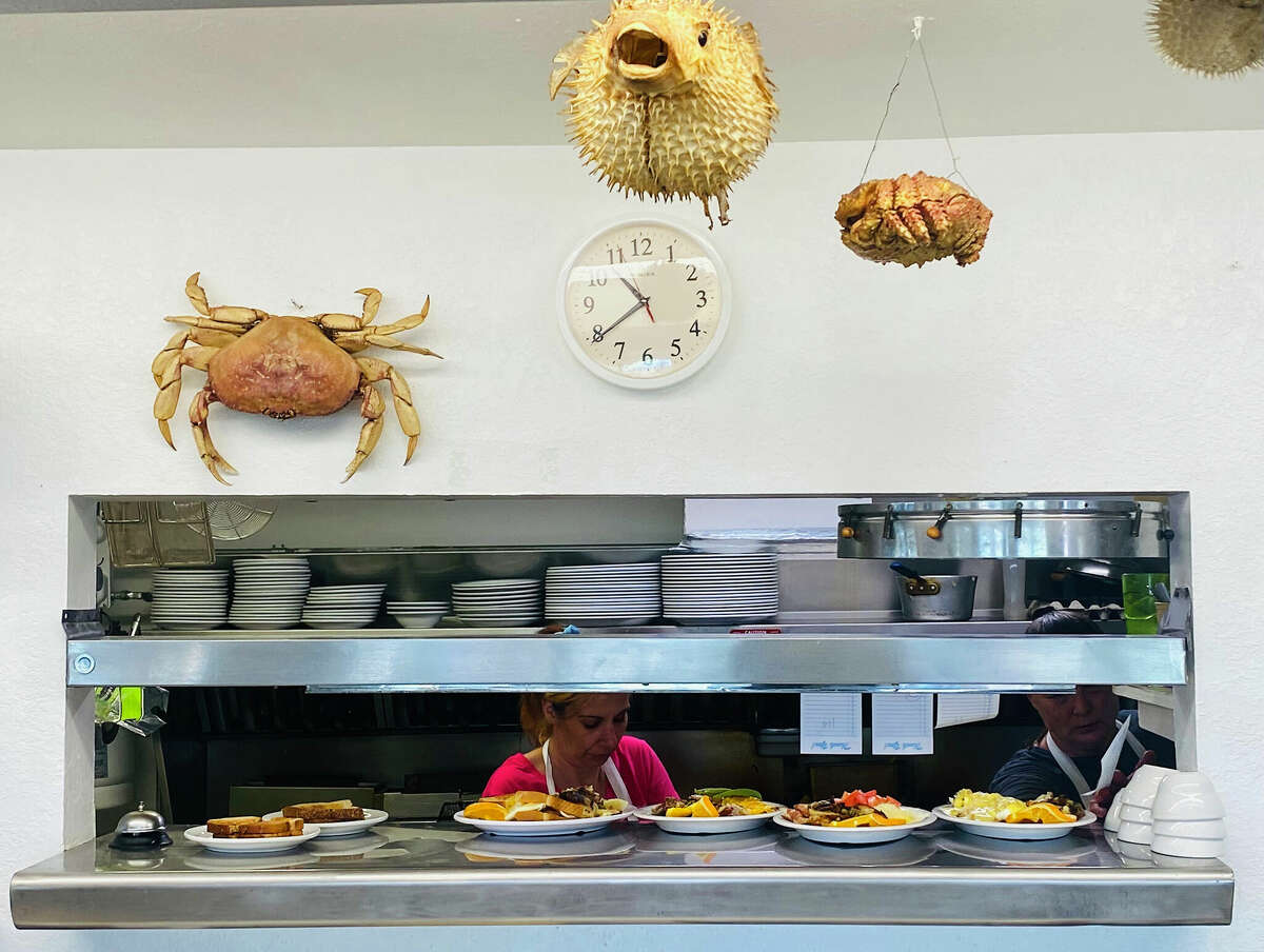 Sea creature taxidermy is on display above the food window at Gill's by the Bay.